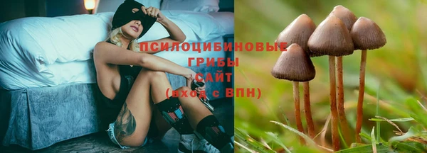 марки lsd Козловка