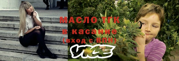 индика Орск