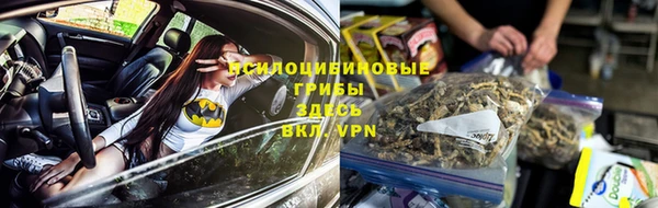 спайс Кодинск