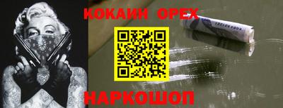 дживик Гатчина
