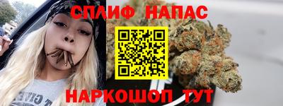 мдпв Гай