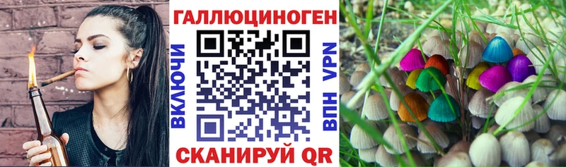 Псилоцибиновые грибы Psilocybine cubensis где можно купить наркотик Кашира