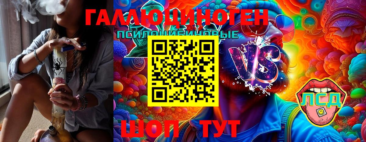 Псилоцибиновые грибы Psilocybe Кашира