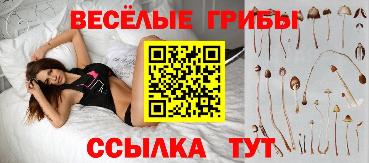 Галлюциногенные грибы Psilocybine cubensis  Галлюциногенные грибы Psilocybe  Кашира 