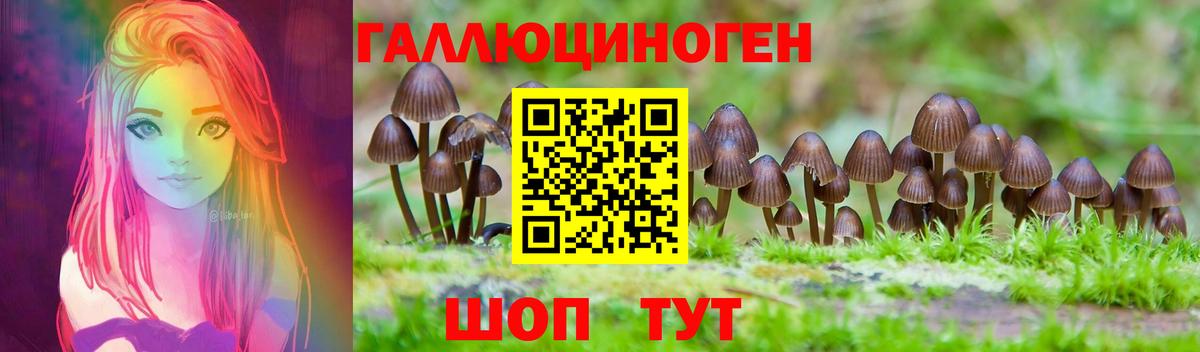 Кашира  Псилоцибиновые грибы GOLDEN TEACHER  где найти наркотики  Вход с VPN 