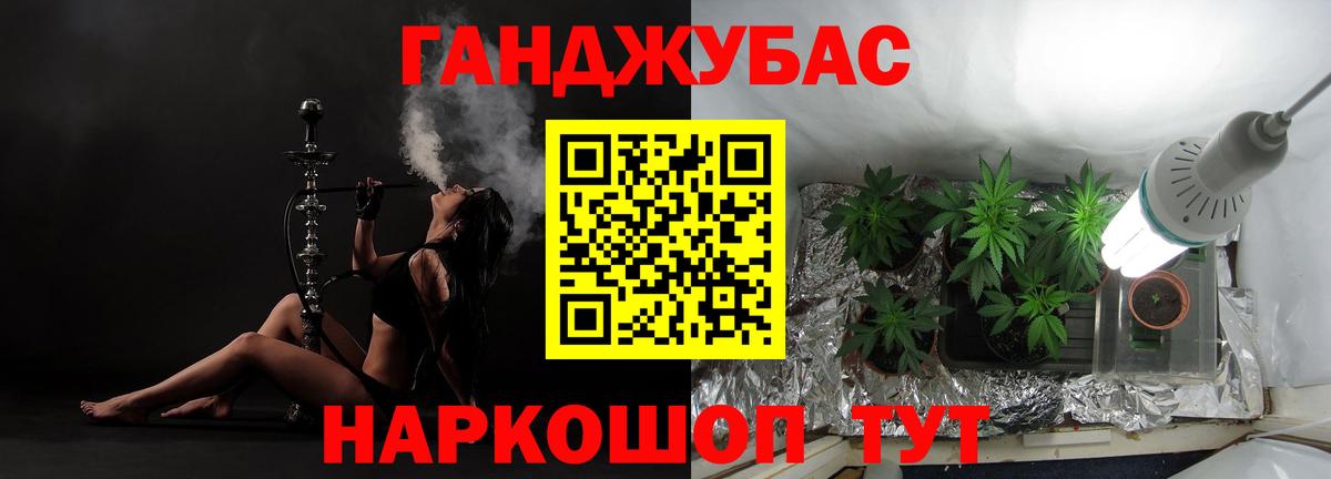Бошки Шишки план  Вход с VPN  Бошки марихуана сатива  Марихуана VHQ  Кашира 